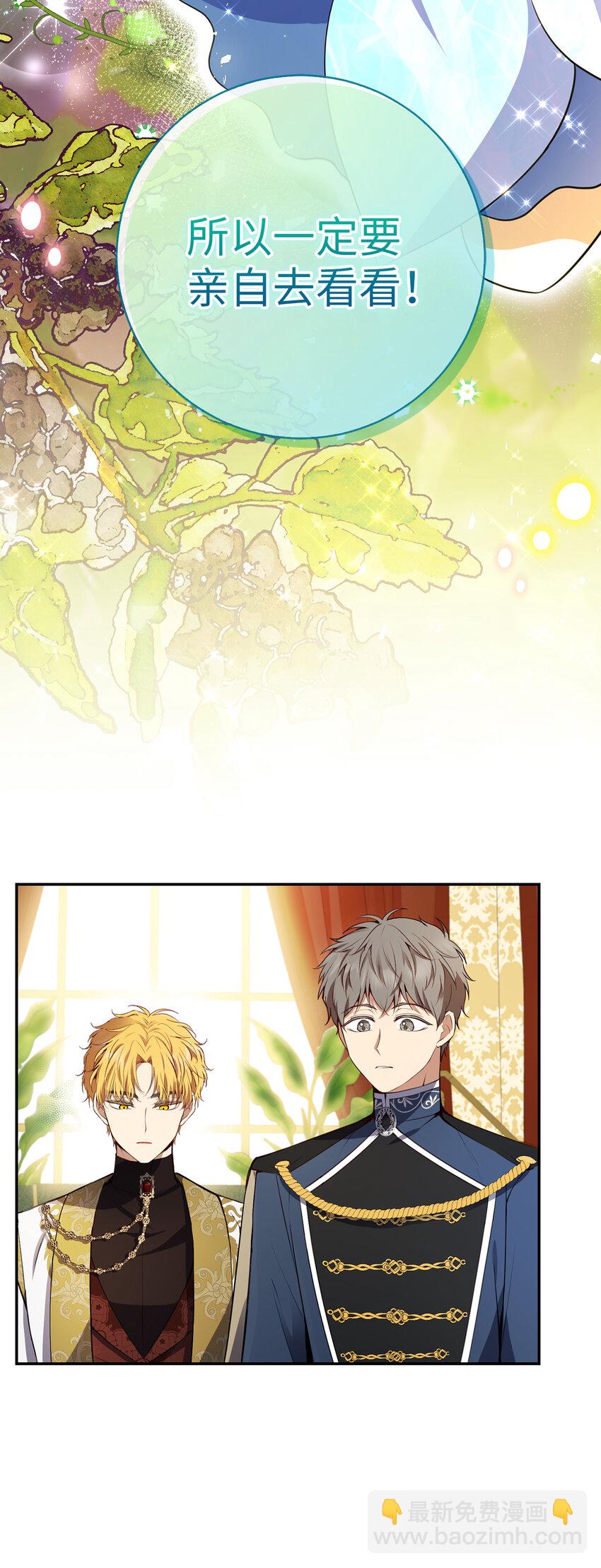 49 寻找精灵石(1/2)-第50话