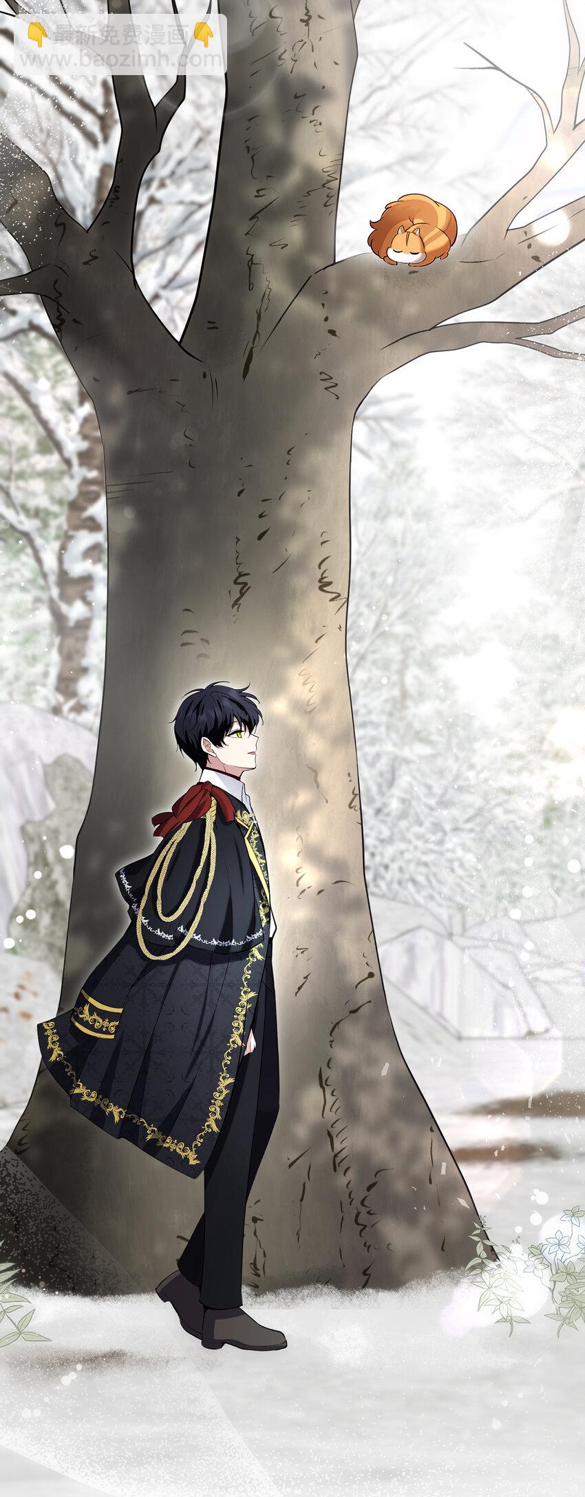 53 传说中的牙齿精灵(1/2)-第54话