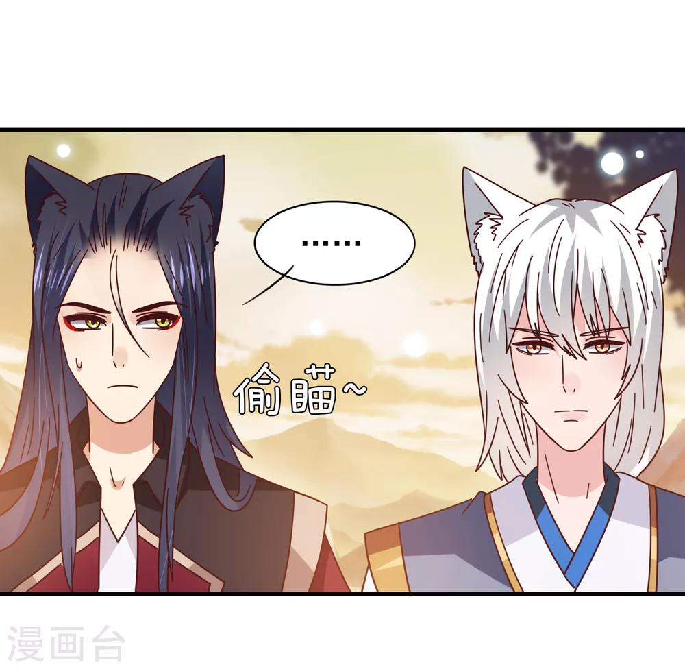 獸寵女皇(舊) - 第44話 小狼狼和貓騎士之間的火藥味 - 4