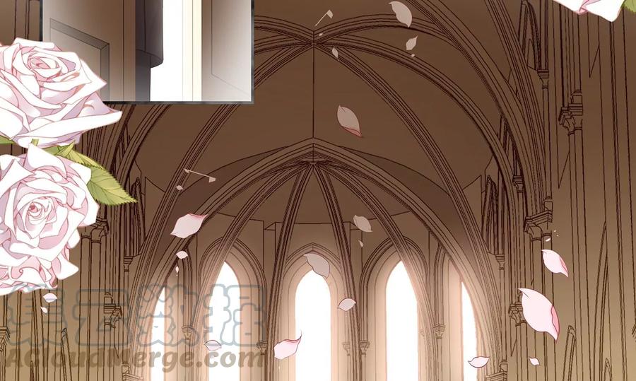 第116话 梦中的婚礼(1/2)-第120话