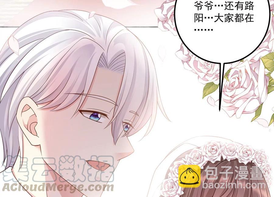 第116话 梦中的婚礼(1/2)-第120话