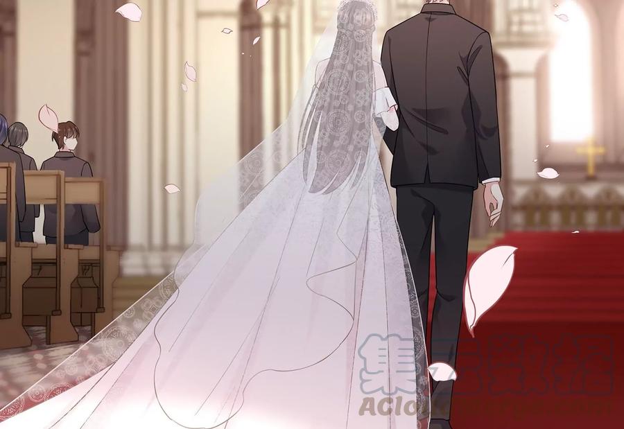 第116话 梦中的婚礼(1/2)-第120话