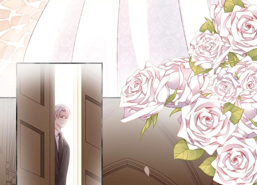 第116话 梦中的婚礼(1/2)-第120话