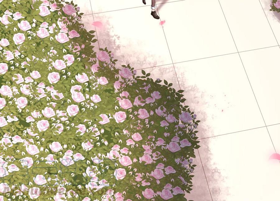 第120话 初尘子的选择(1/2)-第124话