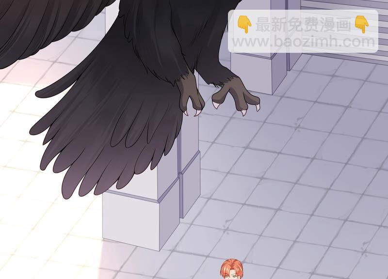 第71话 再次偶遇(1/2)-第74话