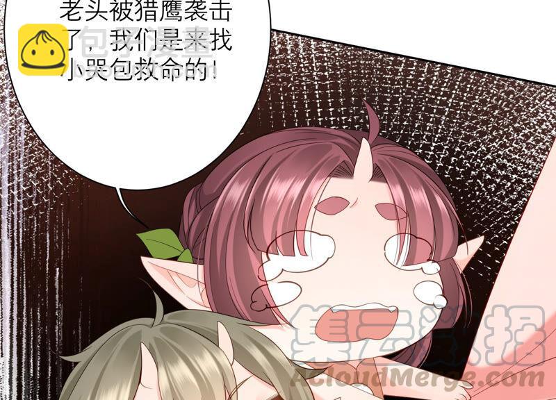 第75话 爷爷有危险？！(1/2)-第78话