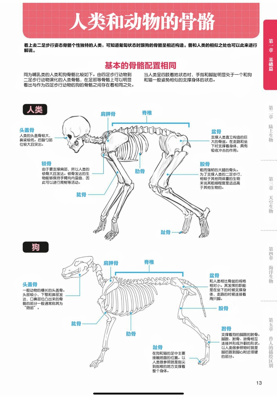 獸人的描繪方法 -從真實系獸人到抽象系獸人 - 第1話 基礎篇 - 1