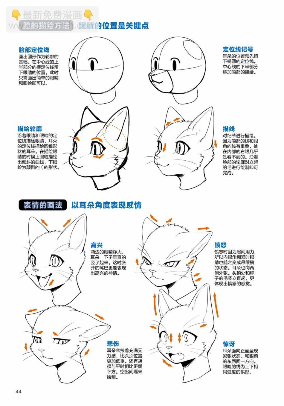 獸人的描繪方法 -從真實系獸人到抽象系獸人 - 第2.2話 陸上生物 貓獸人的描繪方法 - 1