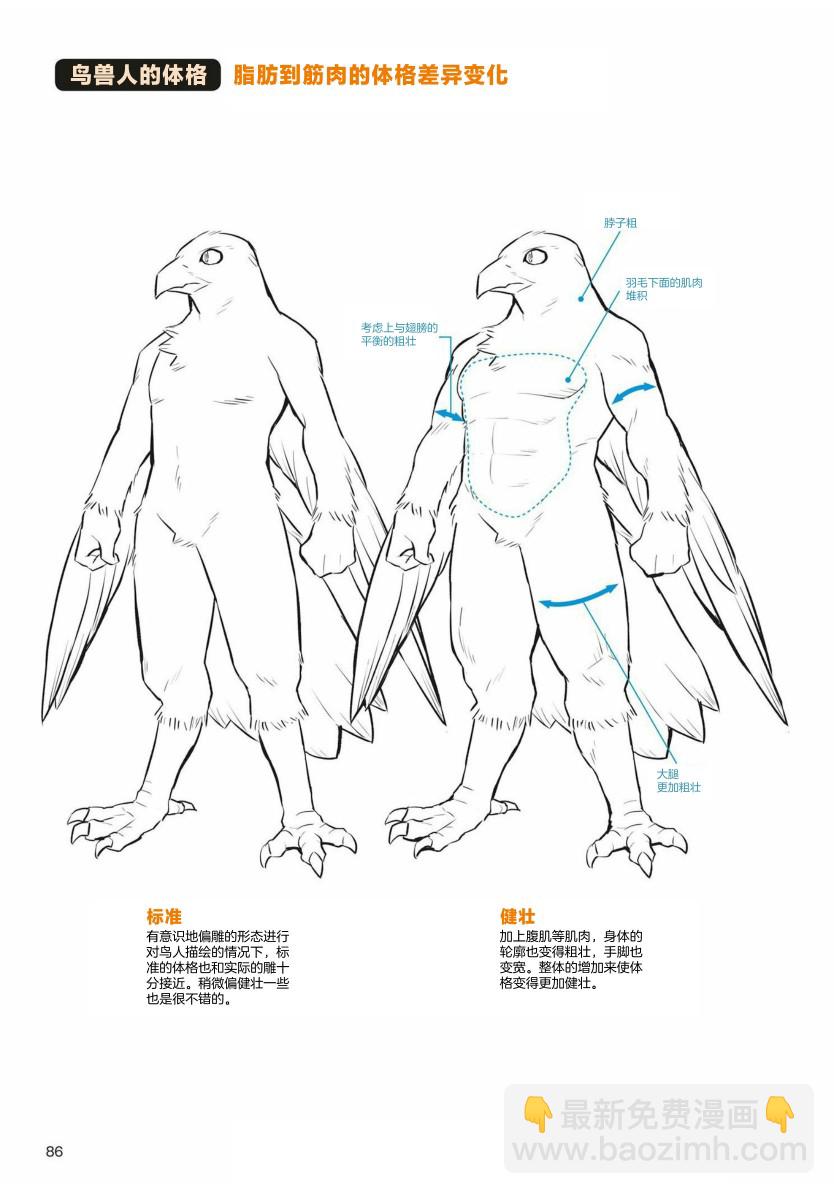 兽人的描绘方法 -从真实系兽人到抽象系兽人 - 第3.1话 天空生物 鸟兽人的画法 - 1