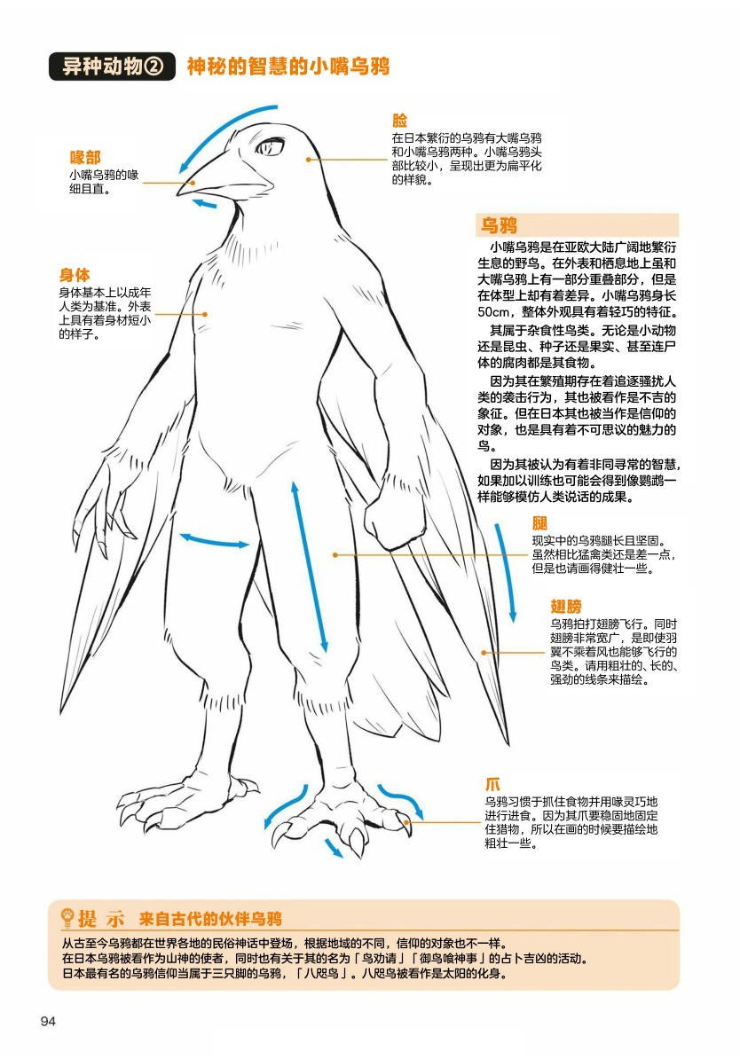 兽人的描绘方法 -从真实系兽人到抽象系兽人 - 第3.1话 天空生物 鸟兽人的画法 - 4