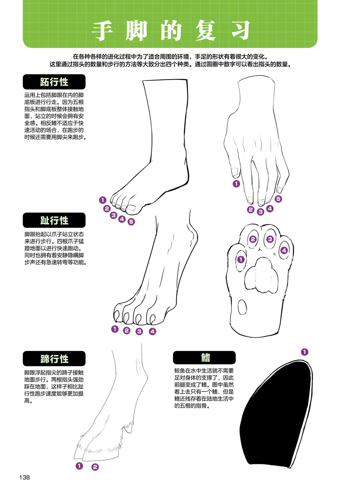 兽人的描绘方法 -从真实系兽人到抽象系兽人 - 第4话 海洋生物 - 6