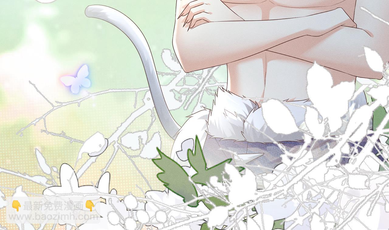 正式预告-第2话