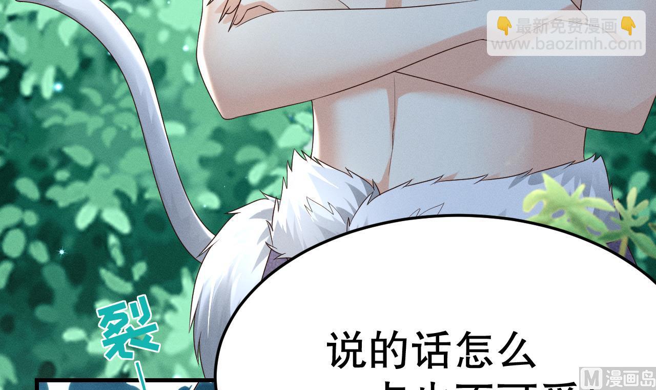 第2话 拿捏傲娇小白狮~(1/3)-第4话