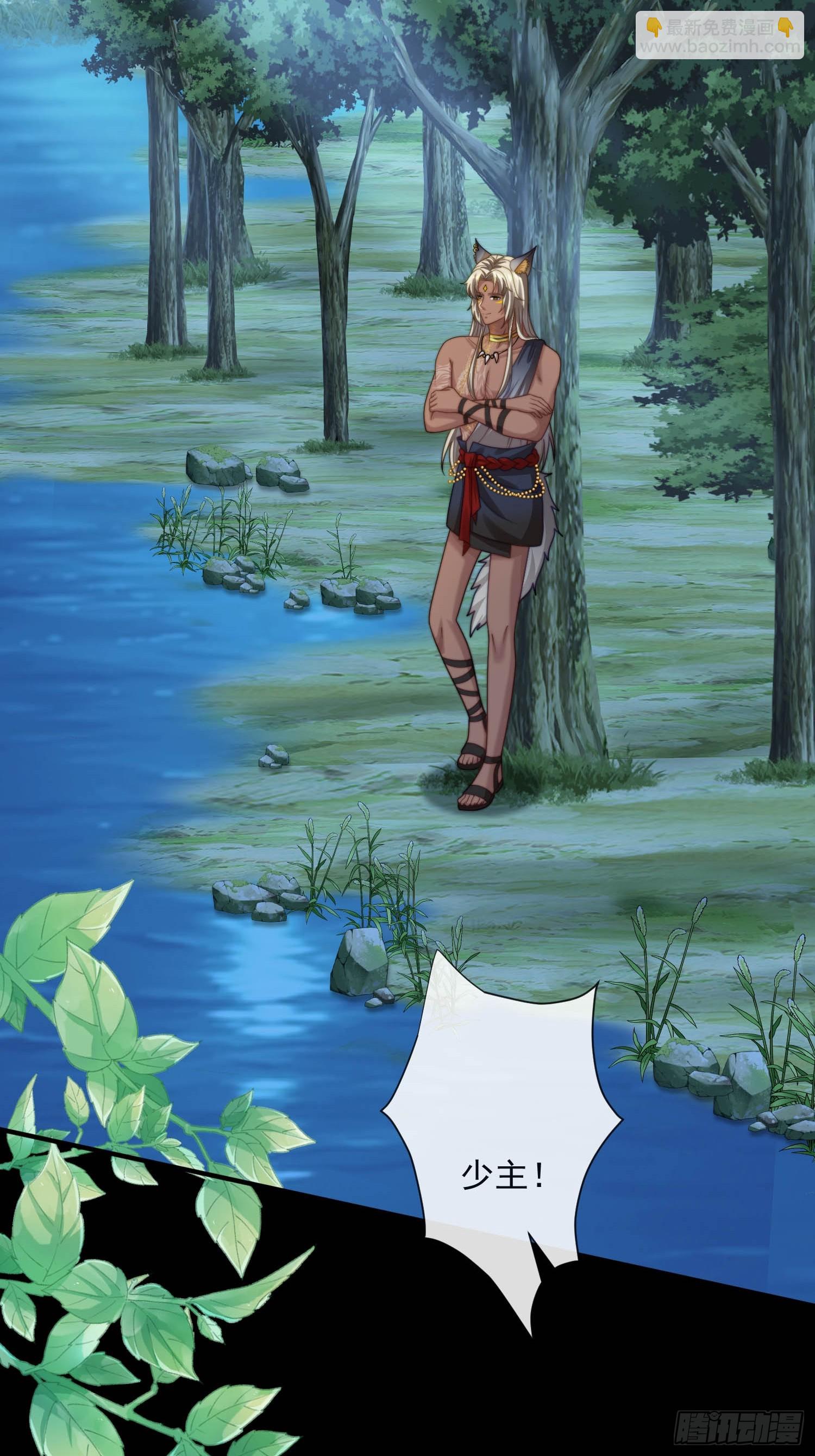 选夫大会-第84话