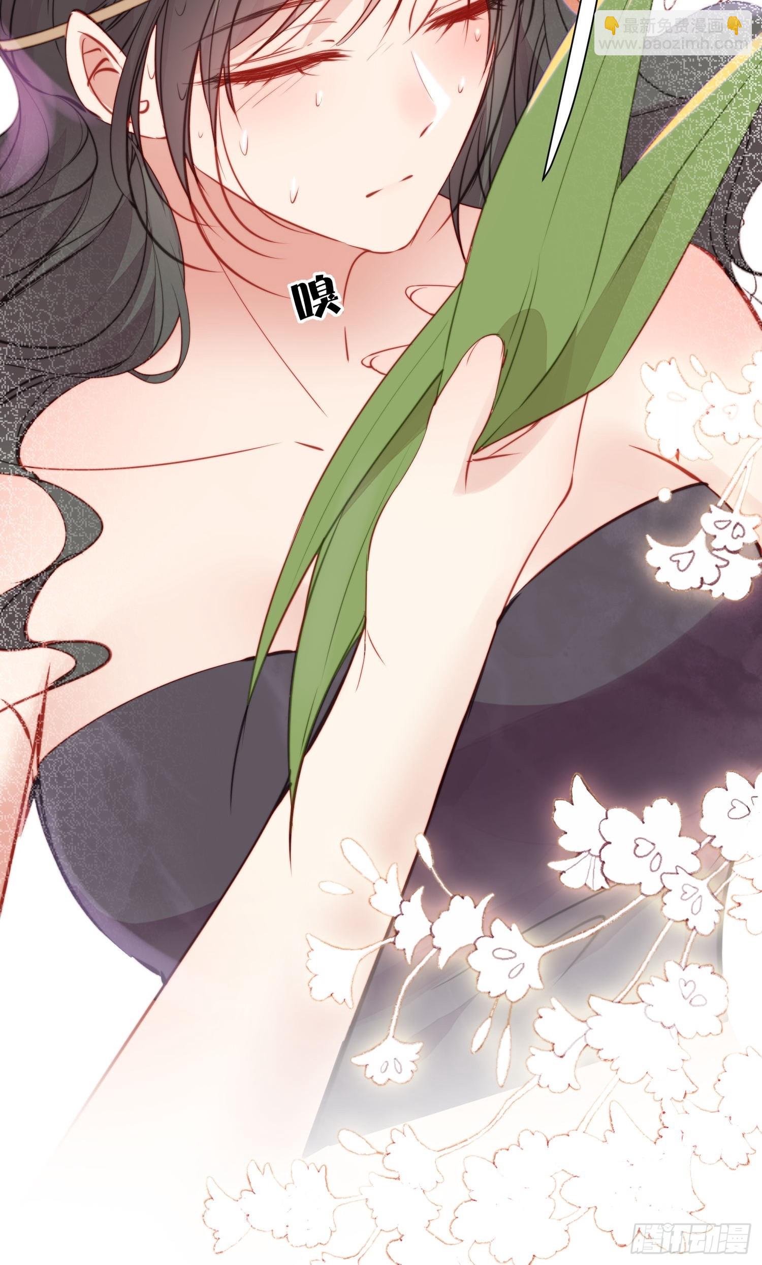 第19话新生命的降世(1/2)-第20话