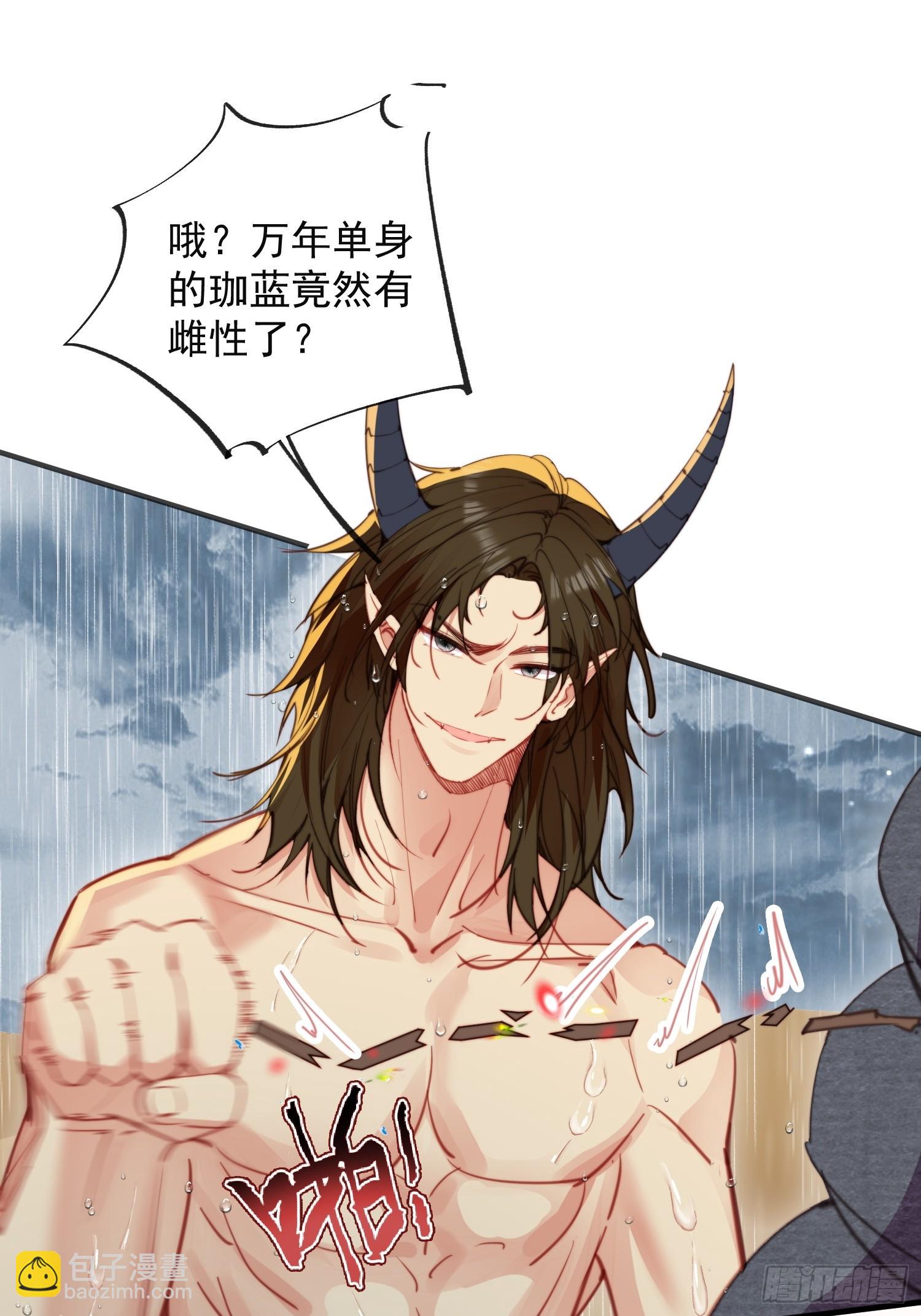 第3话 不要吃我啊(1/2)-第4话