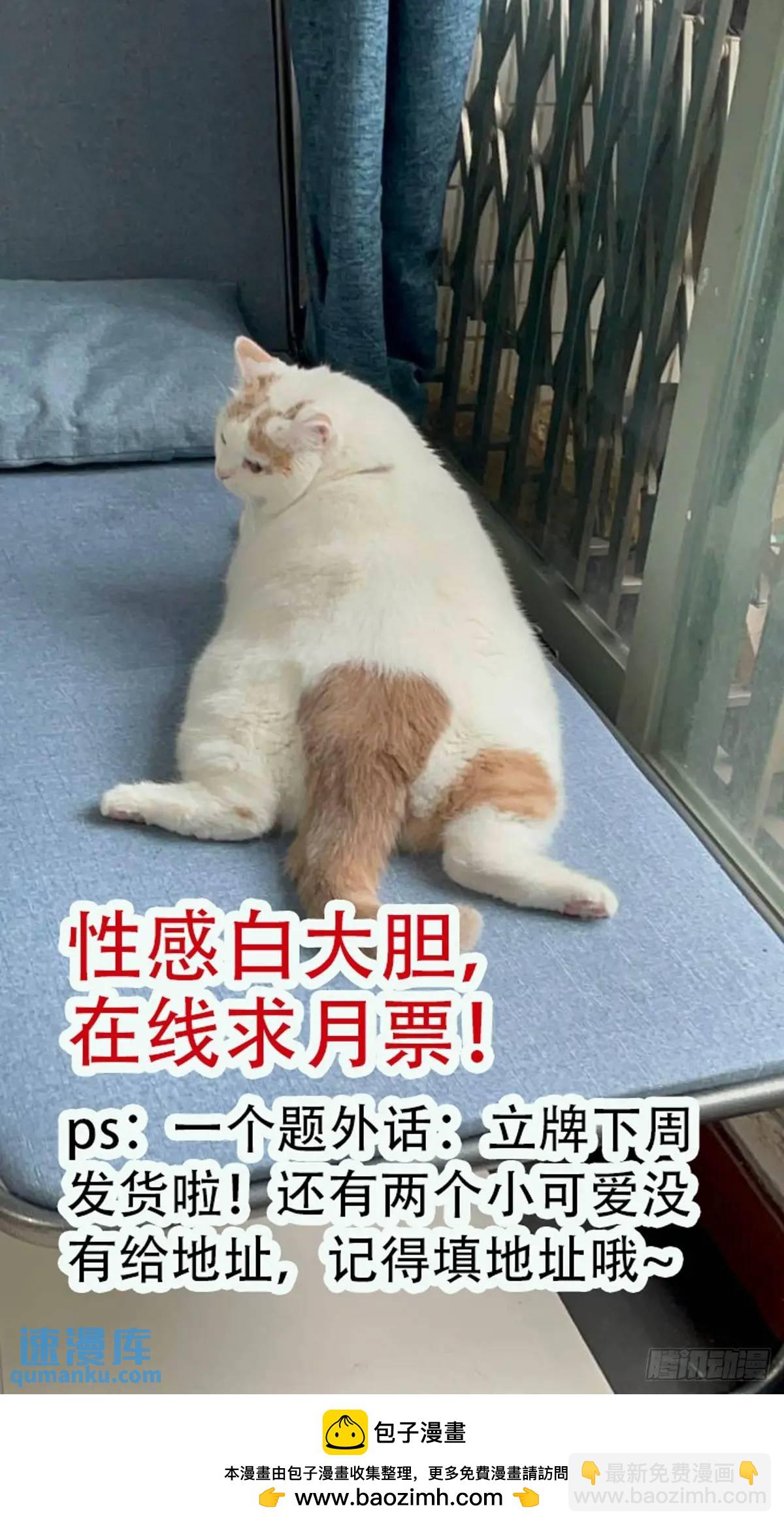 第38话雄性大决斗-第40话