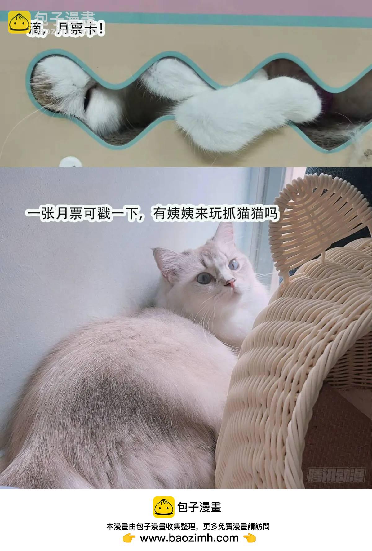 第56话老婆不见了-第58话