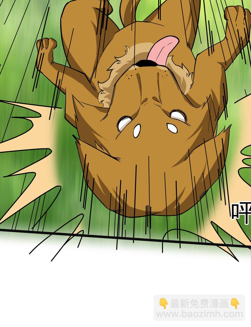 第5话 更新啦，更新啦(1/2)-第6话