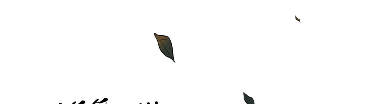 白指猞猁(1/7)-第2话