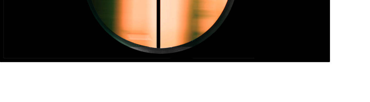 白指猞猁(1/7)-第2话