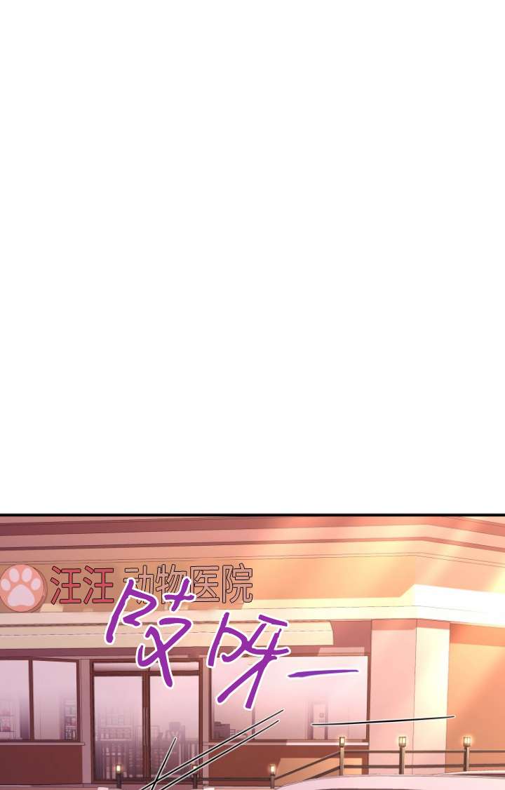 獸醫先生！你好？ - 第13話(1/2) - 6