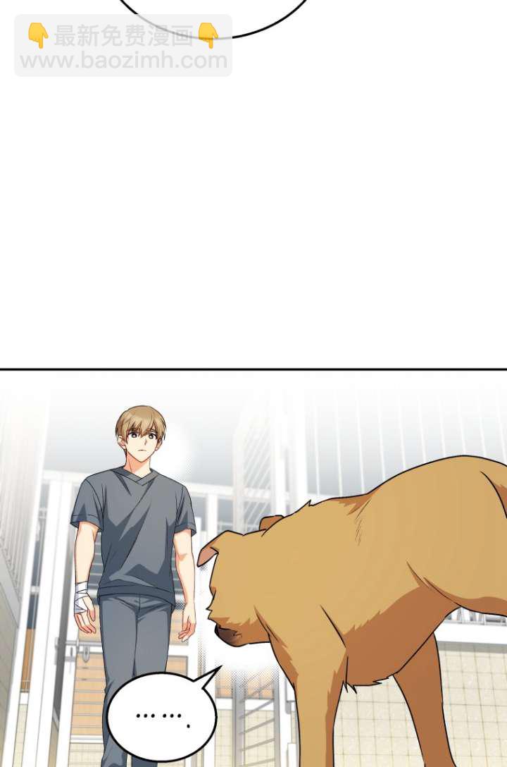 獸醫先生！你好？ - 第19話(1/2) - 4