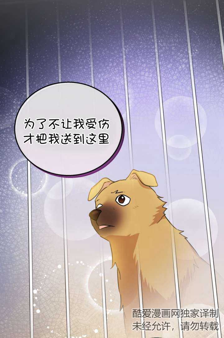 獸醫先生！你好？ - 第19話(1/2) - 6