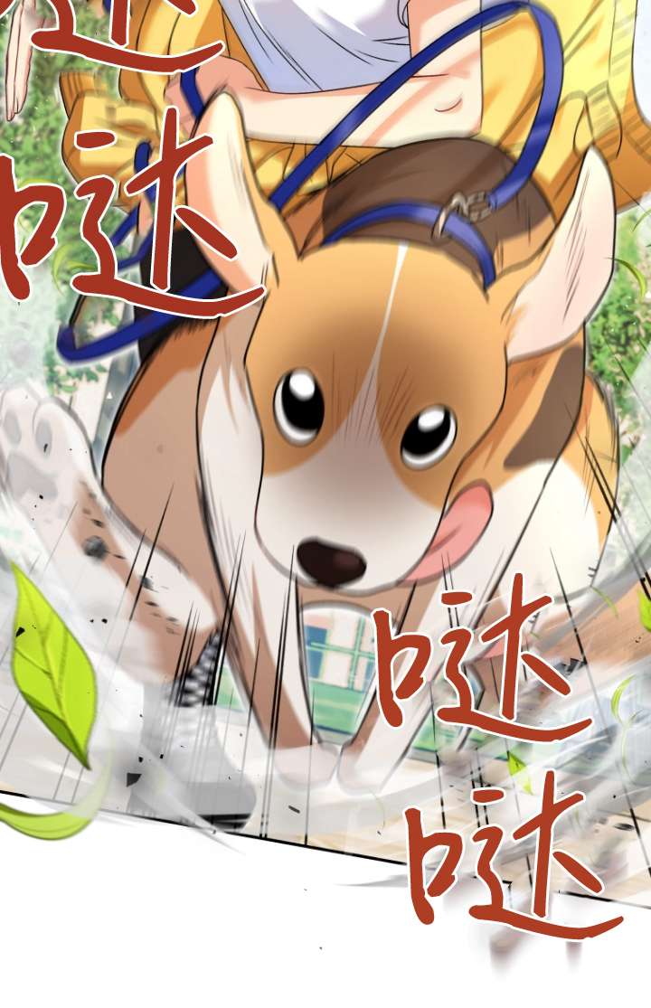獸醫先生！你好？ - 第31話(1/2) - 4