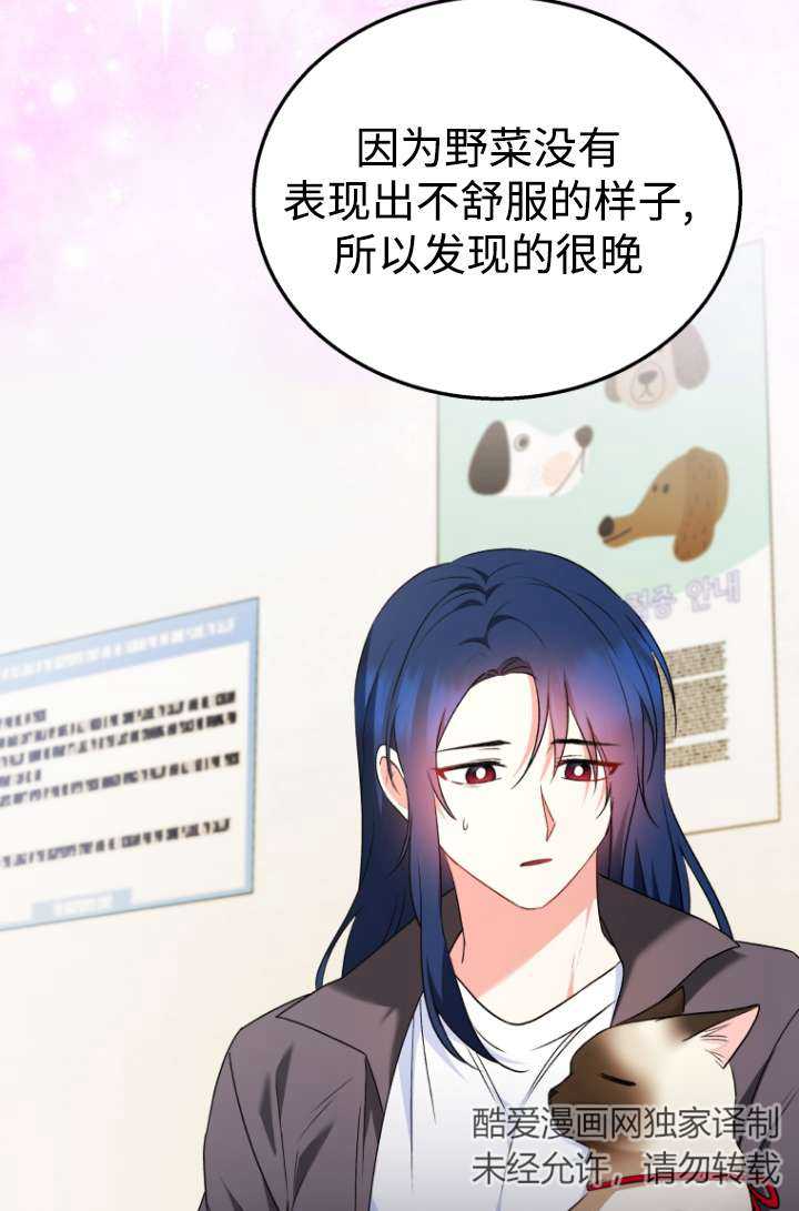 獸醫先生！你好？ - 第33話(1/2) - 8