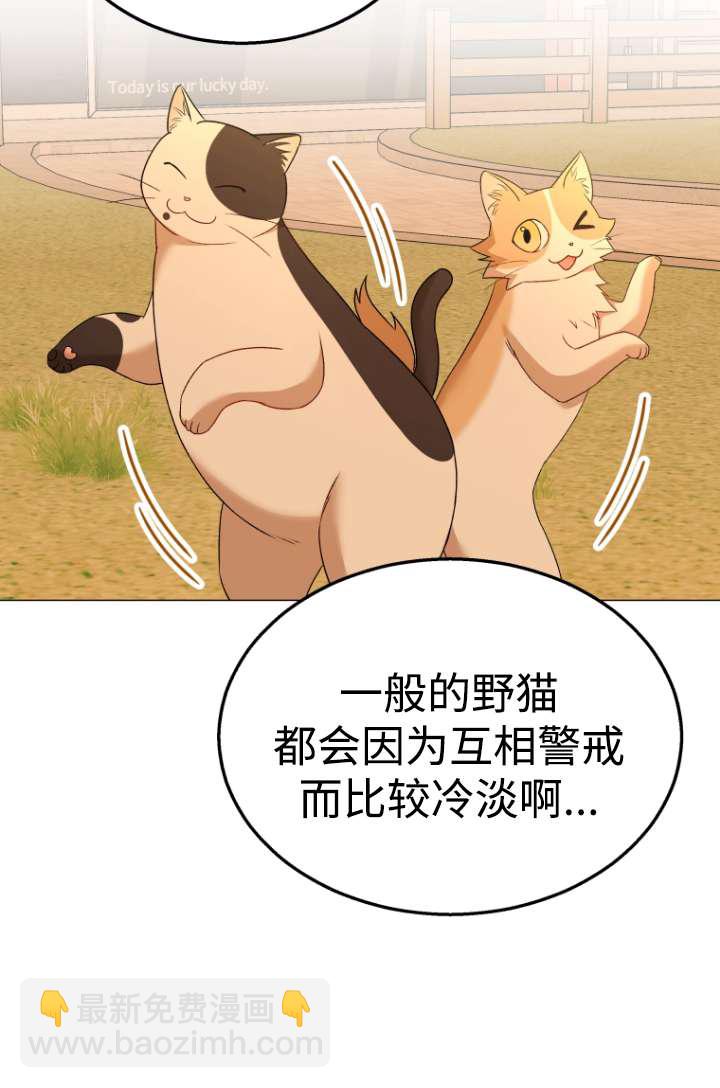 獸醫先生！你好？ - 第39話(1/2) - 2