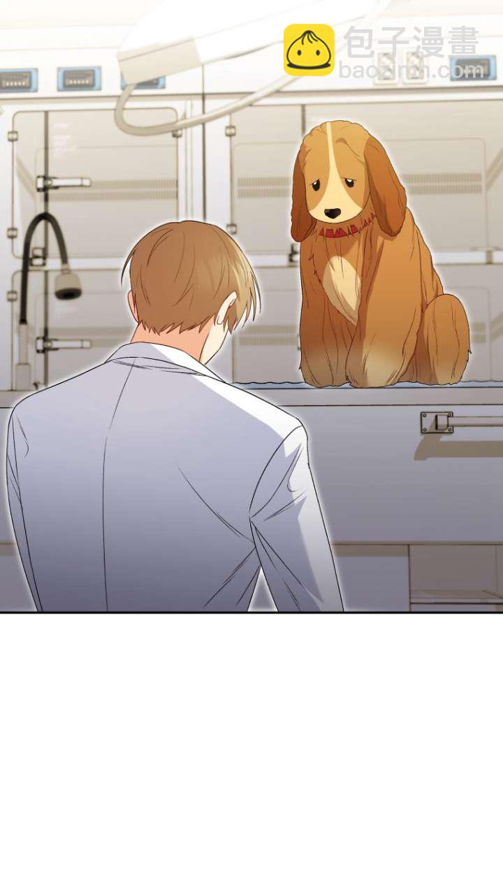 獸醫先生！你好？ - 第43話(1/3) - 1
