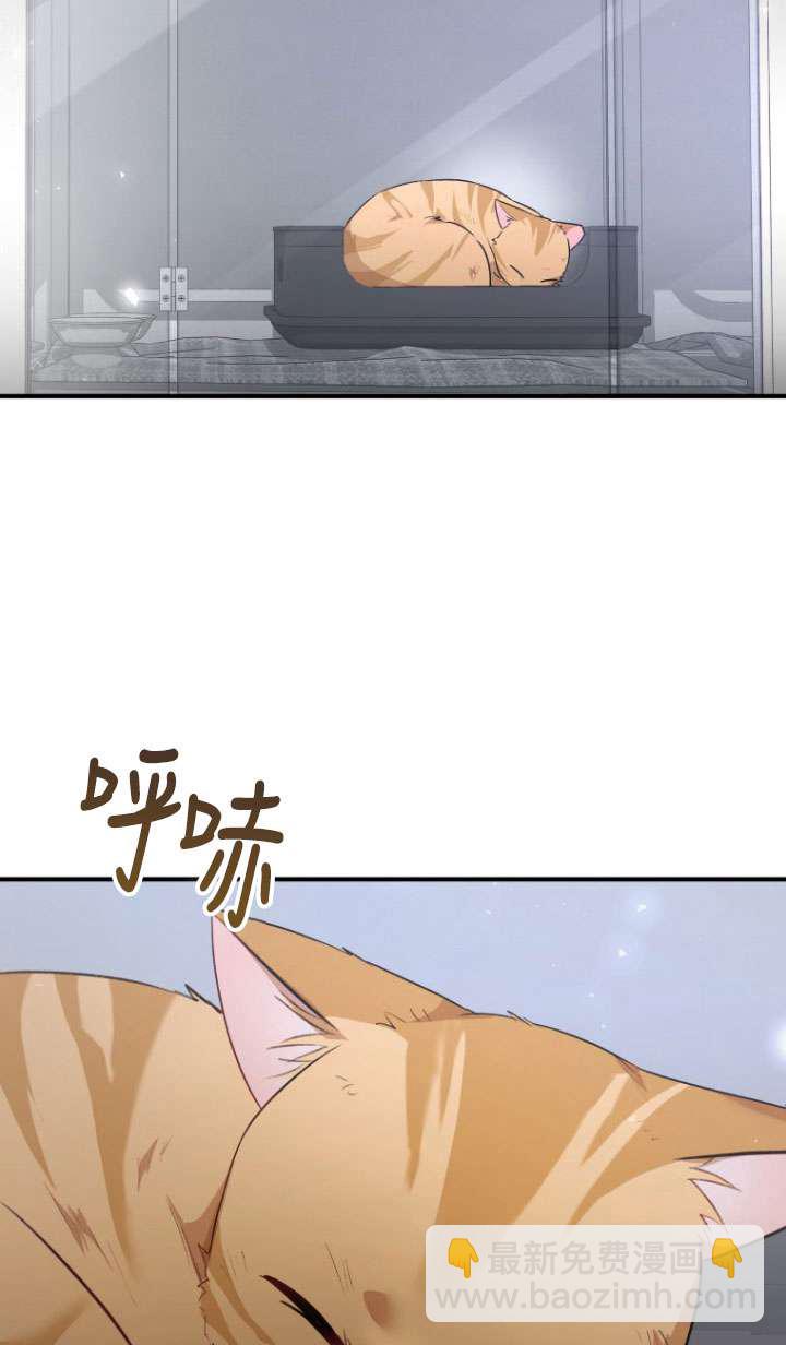 獸醫先生！你好？ - 第07話(1/3) - 2