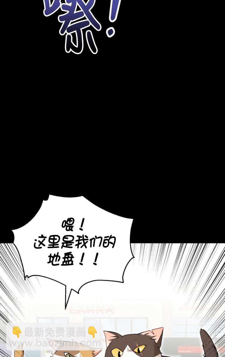 獸醫先生！你好？ - 第07話(1/3) - 5