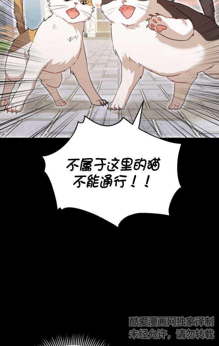 獸醫先生！你好？ - 第07話(1/3) - 6