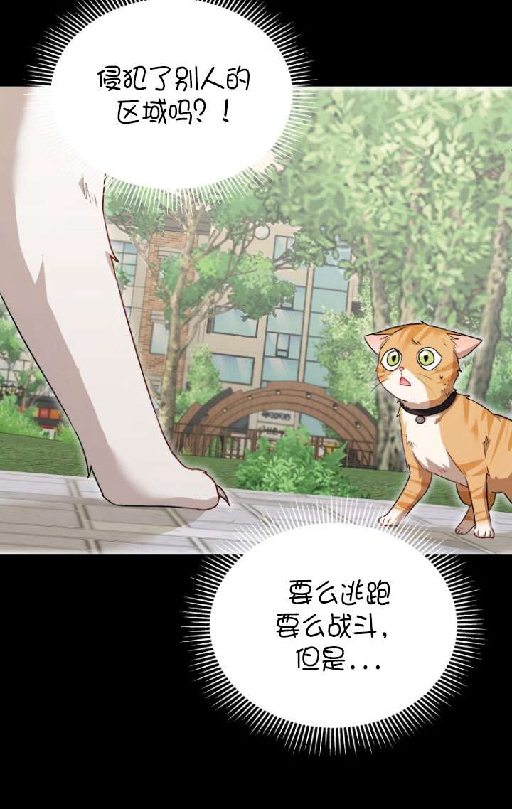 獸醫先生！你好？ - 第07話(1/3) - 7