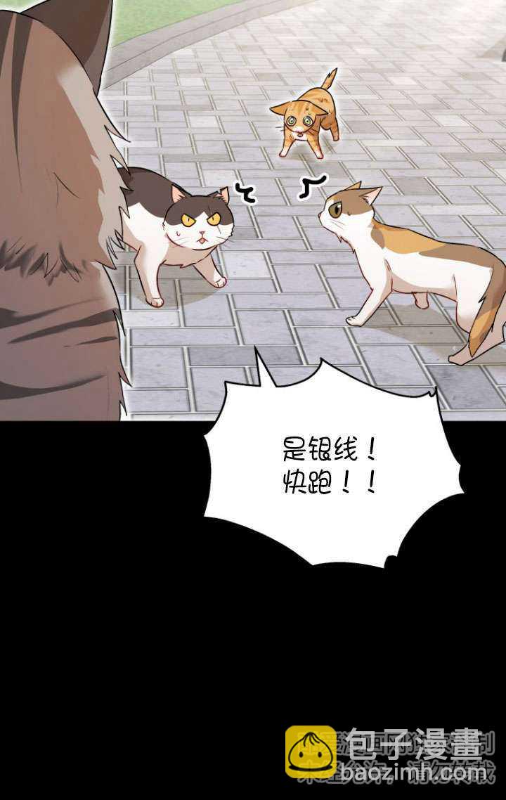獸醫先生！你好？ - 第07話(1/3) - 3