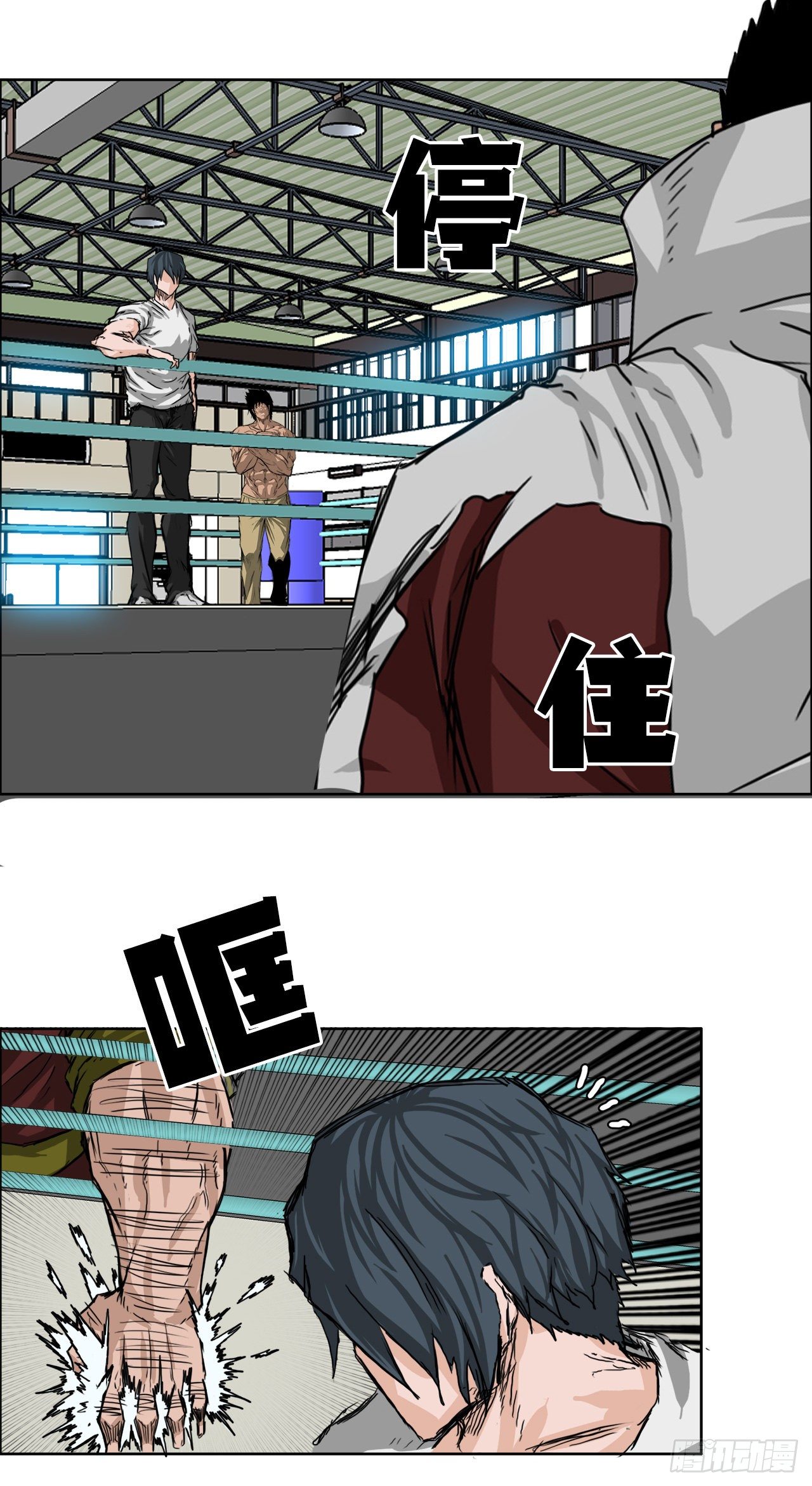 12.综合格斗胜负-第14话