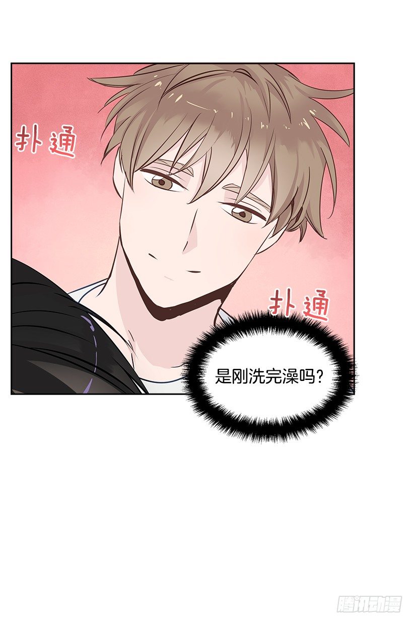 13.小鹿乱撞(1/2)-第14话