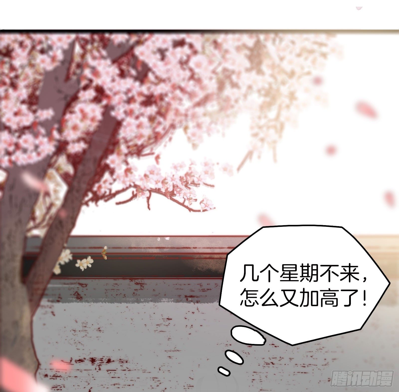 雙世寵妃 - 01場-前面的帥哥，請留步！(1/2) - 4
