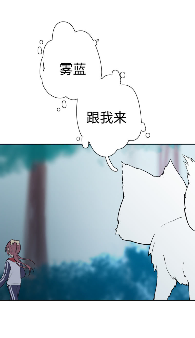 再遇小狐狸-第14话