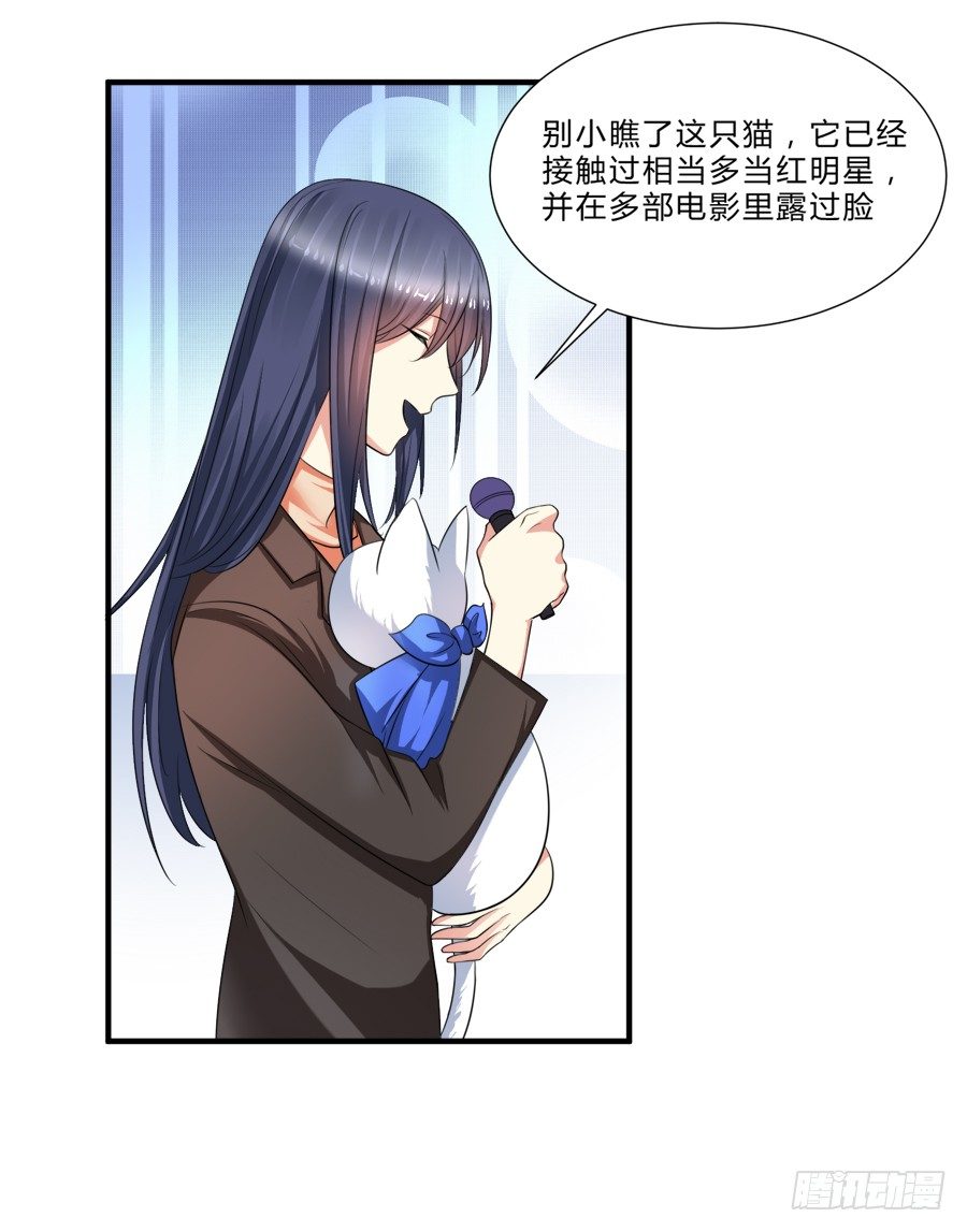 来自喵界的权威！-第14话