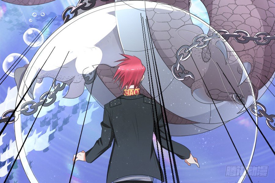 这么酷，随我-第50话