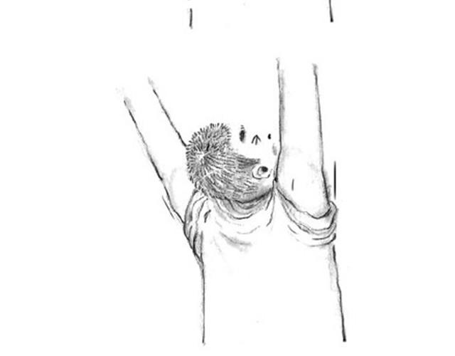 弟弟，你可真麻烦呀-第4话