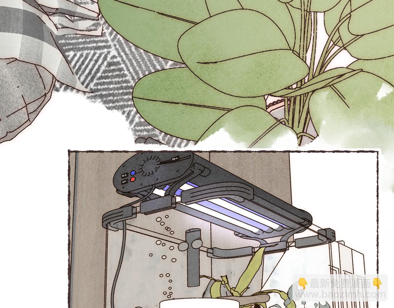 第19话 小涛&ldquo;生日宴&rdquo;(1/3)-第20话