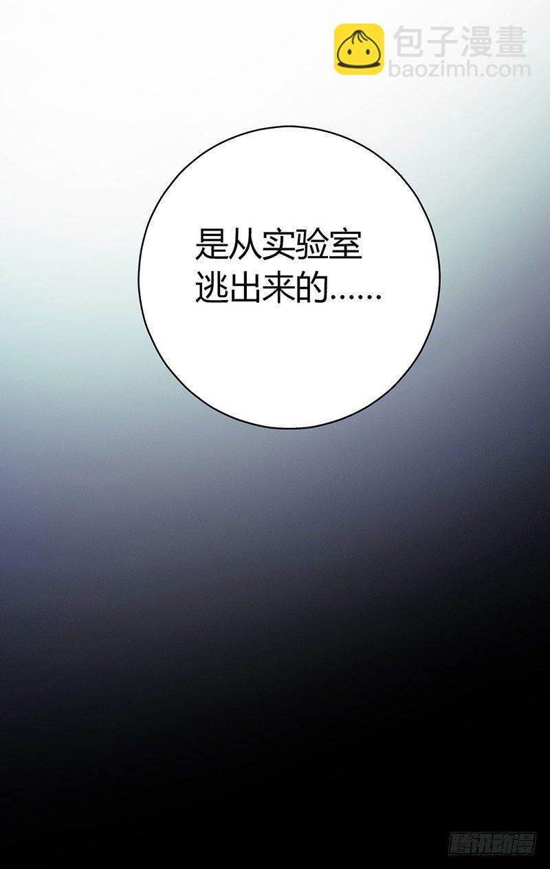 第4章 她的一生4-第40话