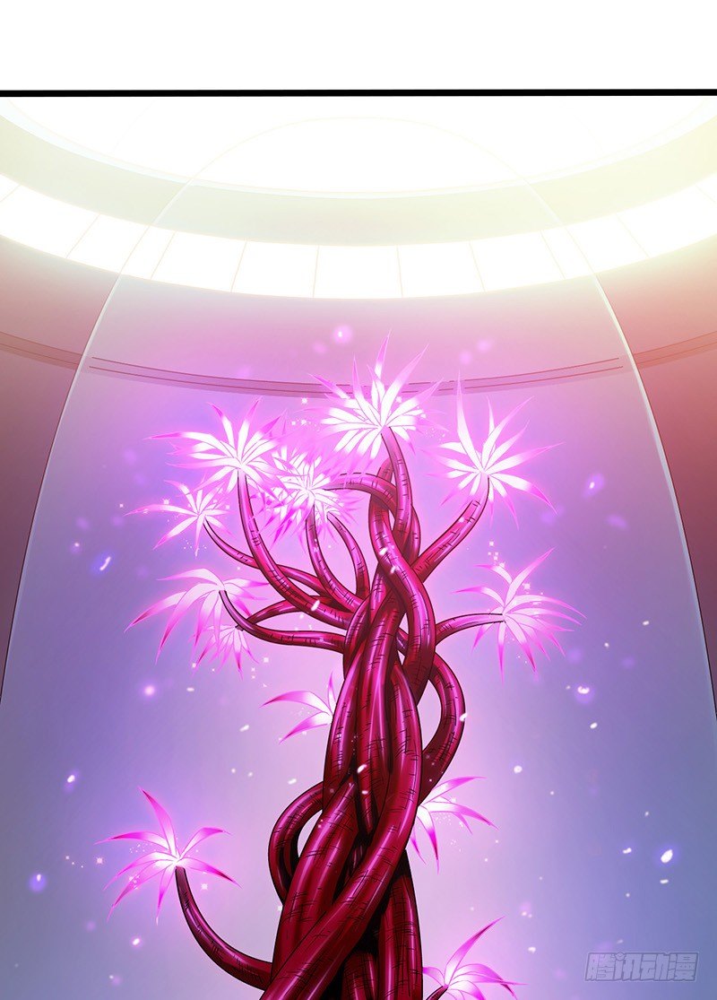 第7章 永生花1(1/2)-第60话