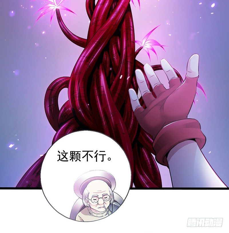 第7章 永生花1(1/2)-第60话