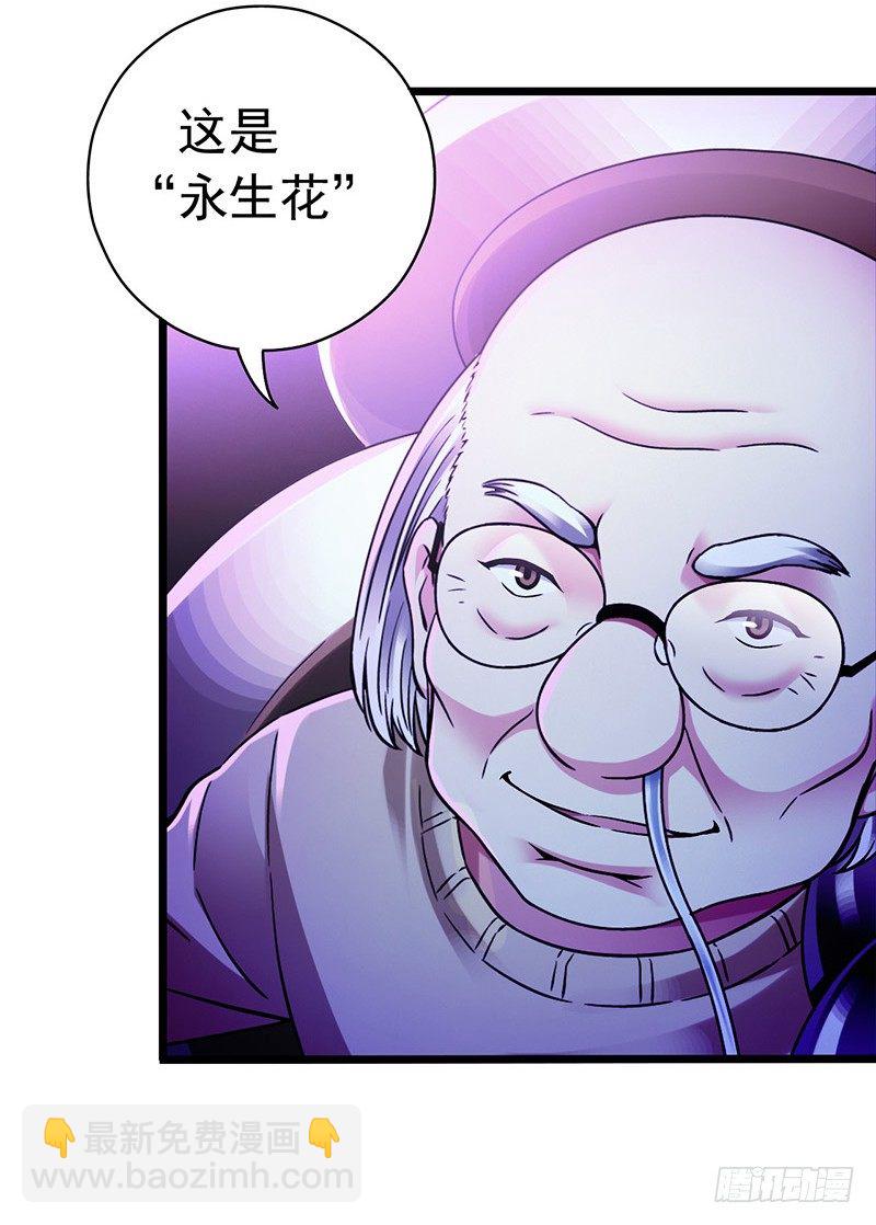 第7章 永生花1(1/2)-第60话