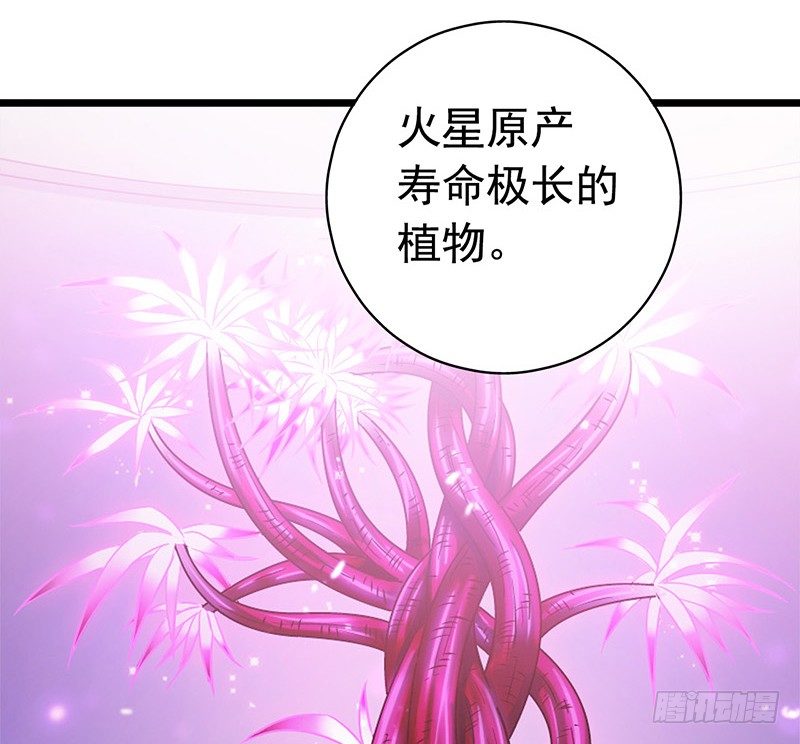 第7章 永生花1(1/2)-第60话